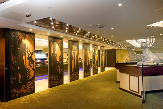 AE pemisah ruangan partisi khusus partisi untuk restoran partisi bergerak dinding untuk kantor