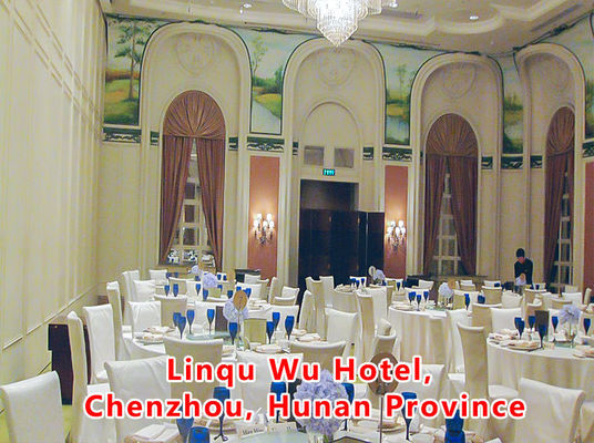 Harga yang bagus Aluminum Wooden Movable Partition Wall with 304 Stainless Steel Rollers and 6061-T6 Profile for Office Room on line